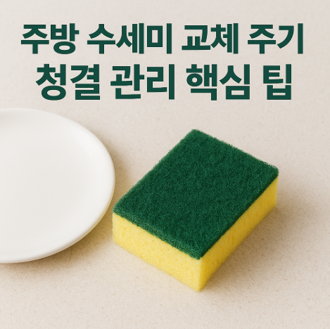 주방수세미관리방법