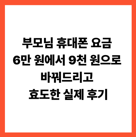 부모님 휴대폰 요금 6만 원에서 9천 원으로 바꿔드리고 효도한 실제 후기
