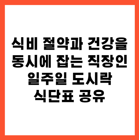 식비 절약과 건강을 동시에 잡는 직장인 일주일 도시락 식단표 공유