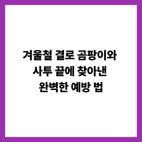겨울철 결로 곰팡이와 사투 끝에 찾아낸 완벽한 예방 법